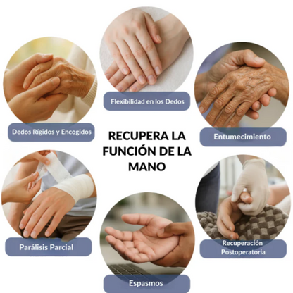 HandVital™ Guante Robótico de rehabilitación